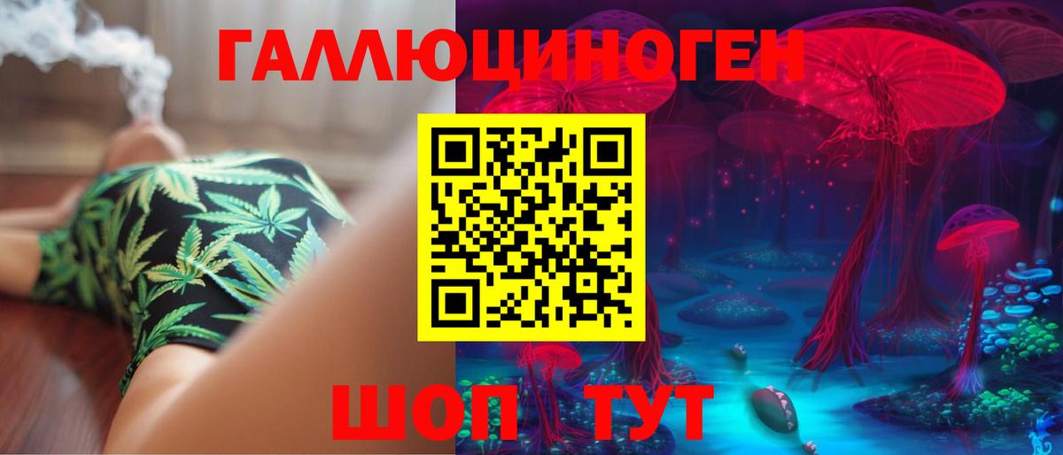 Псилоцибиновые грибы Psilocybe  купить   Кизляр  Вход с VPN 